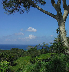 paysage d'Honduras